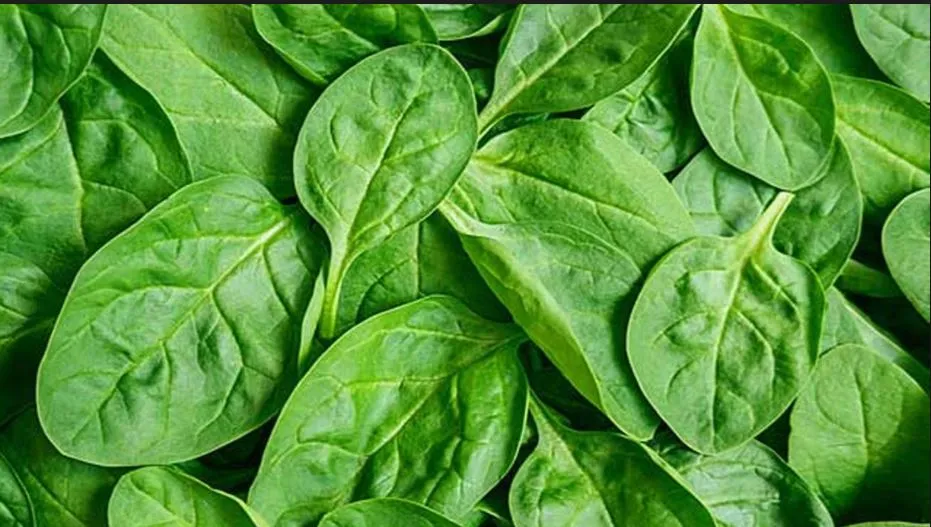 spinach.JPG