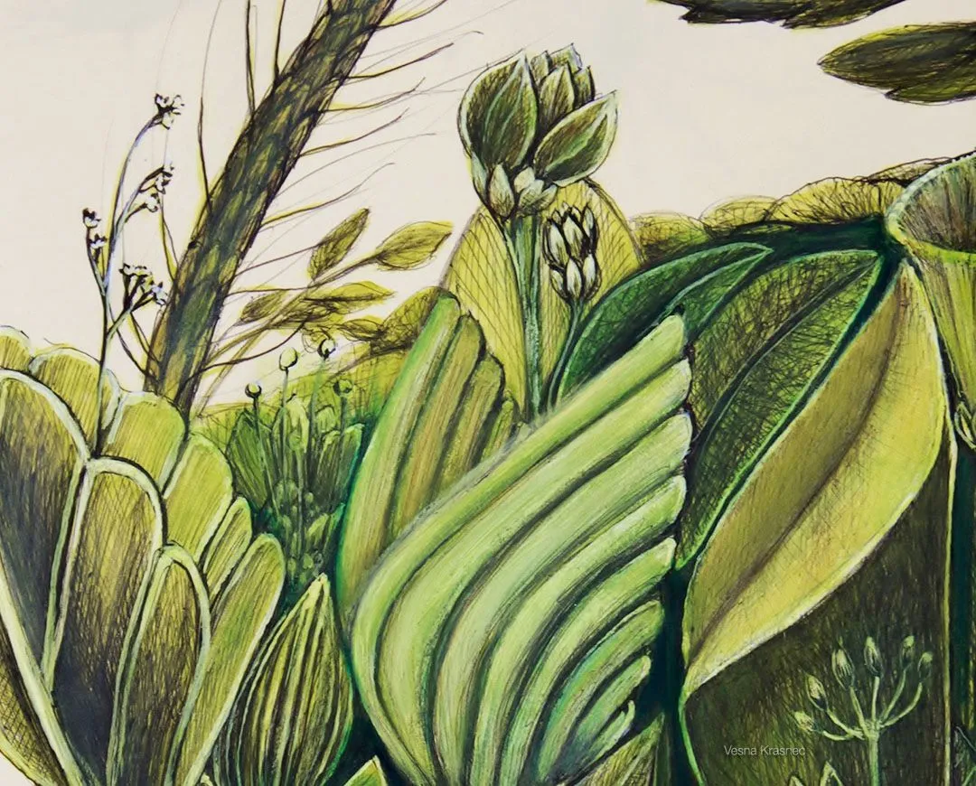 plantas.jpg