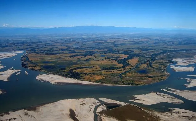 MAJULI9.jpg