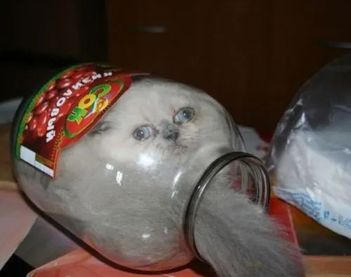 4DLdLf5.jpg