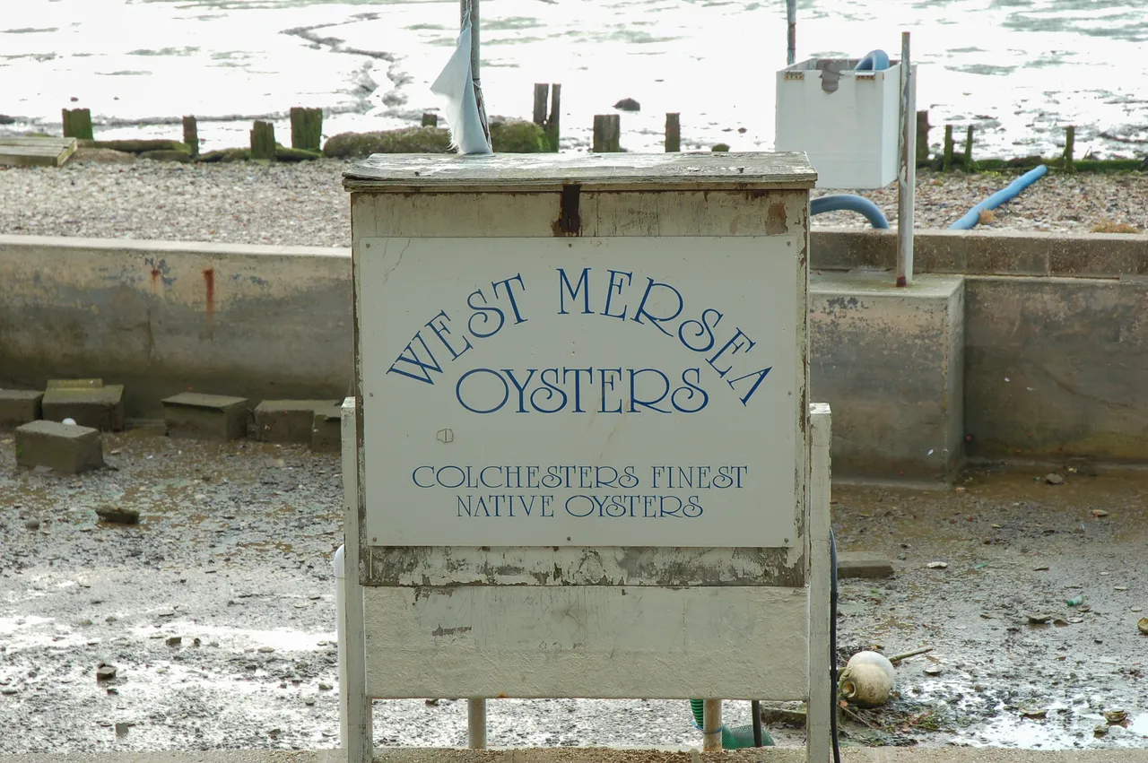 essex01.jpg