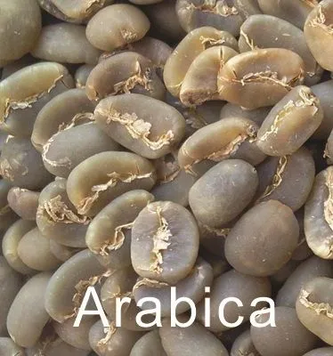 ARABIKA.jpg