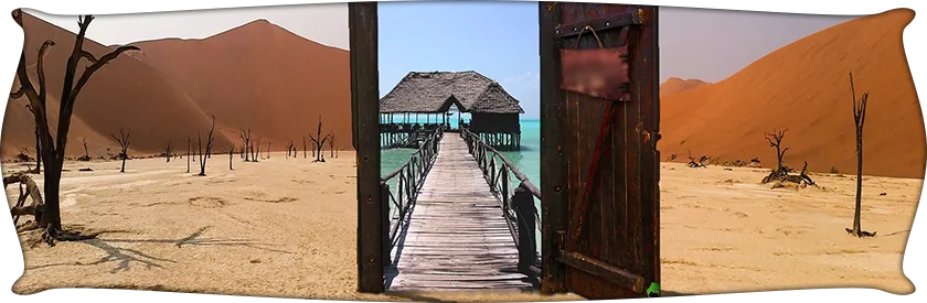 banner5.png