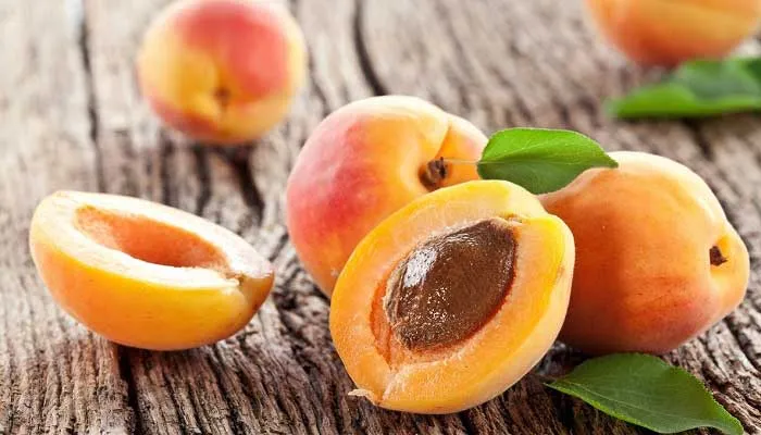 apricot.jpg