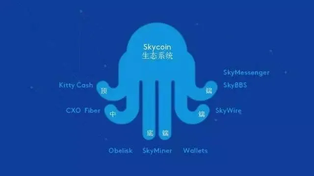 octopus.jpg