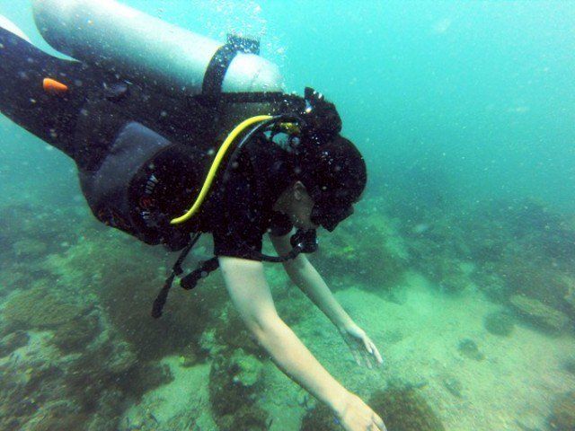 diving.jpeg