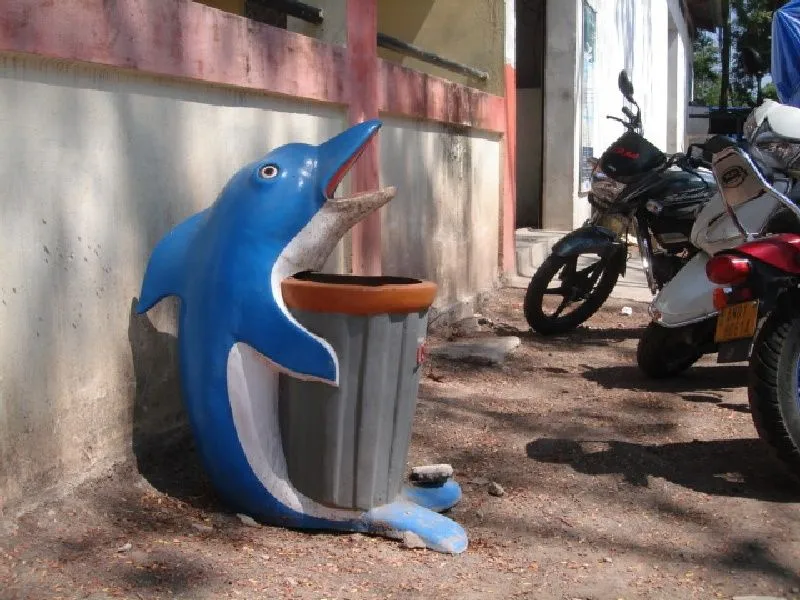dolphin.jpg