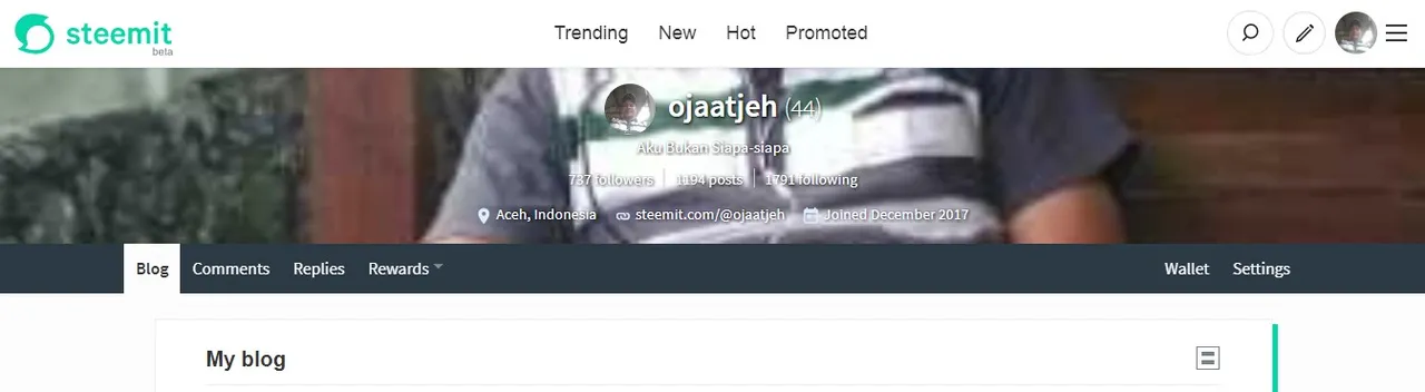 steemit.jpg