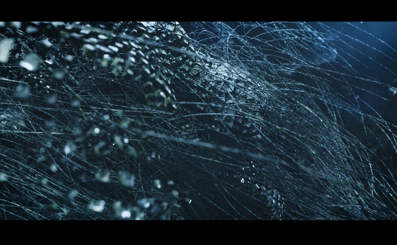 Deck_08.jpg
