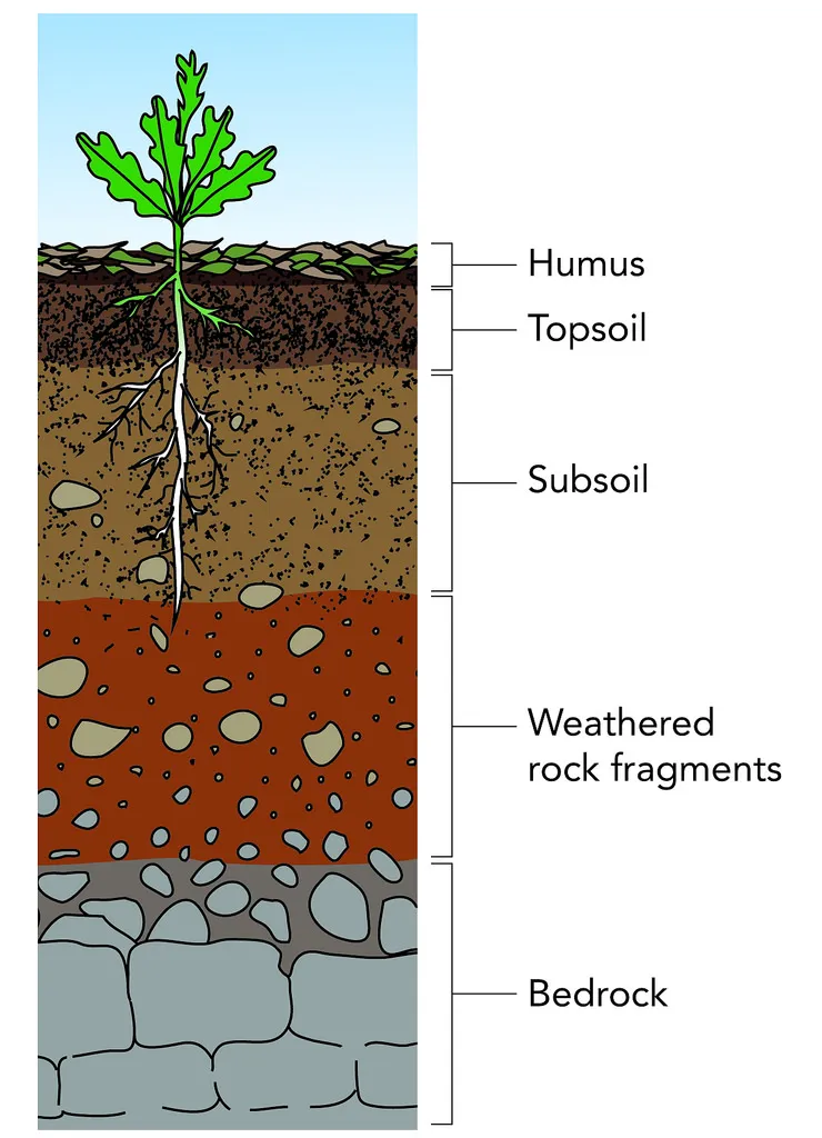 topsoil.jpg