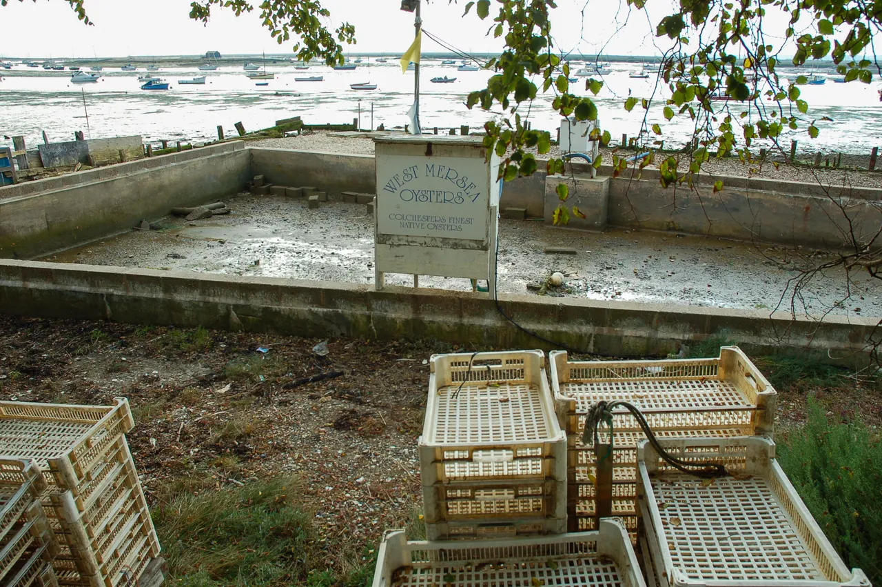 essex07.jpg