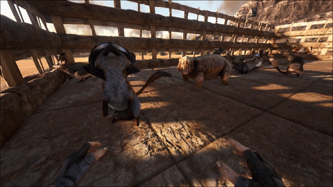 unnamed.gif