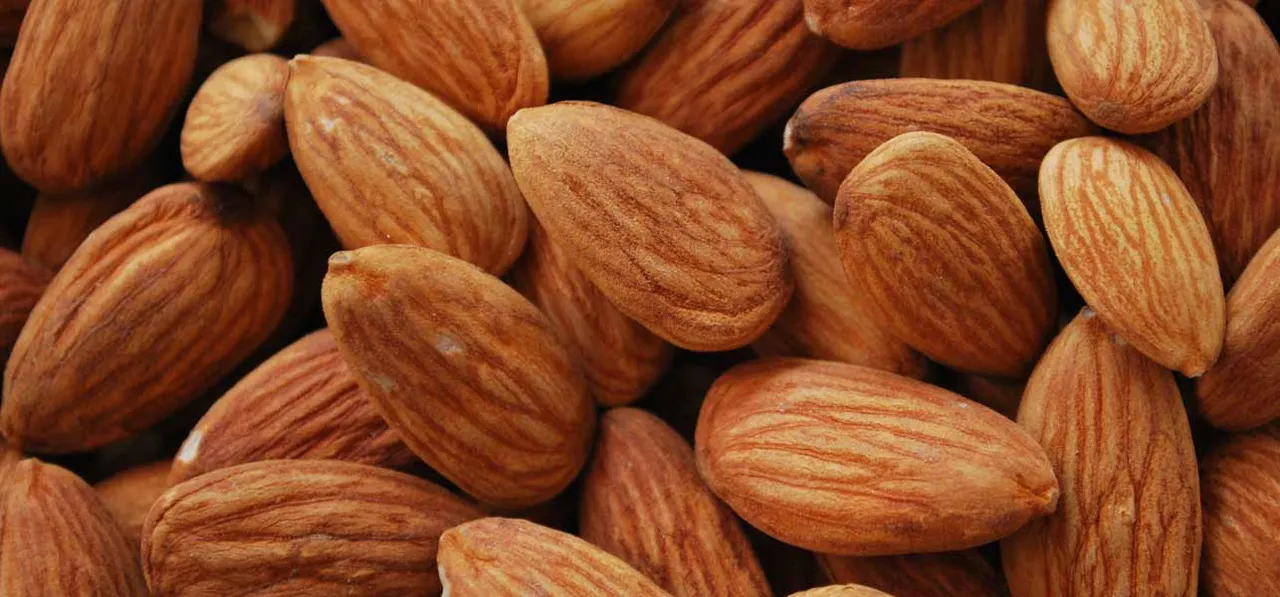 big nut.jpg