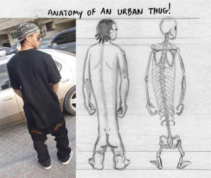 Anatomy.jpg