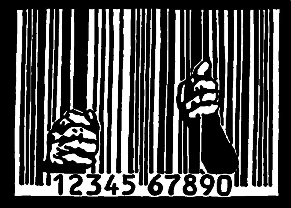 barcode.jpg