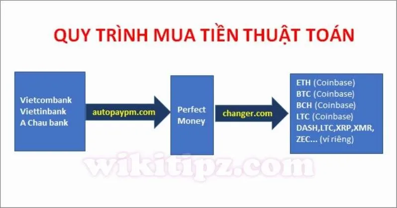 Hướng dẫn cách mua tiền thuật toán: