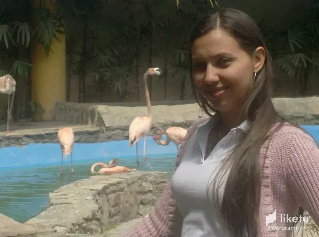 cl976pcrv01to1skc28h54mae_d0a1f3a4-759c-407d-823d-e790bb6bc89a.webp
