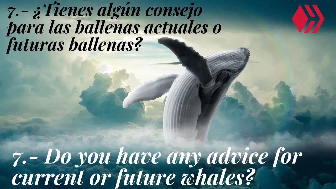 7.- ¿Tienes algún consejo para las ballenas actuales o futuras ballenas.png