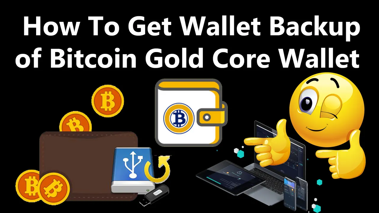 How To Get Wallet Backup of Bitcoin Gold Core Wallet by Crypto Wallets Info.jpg