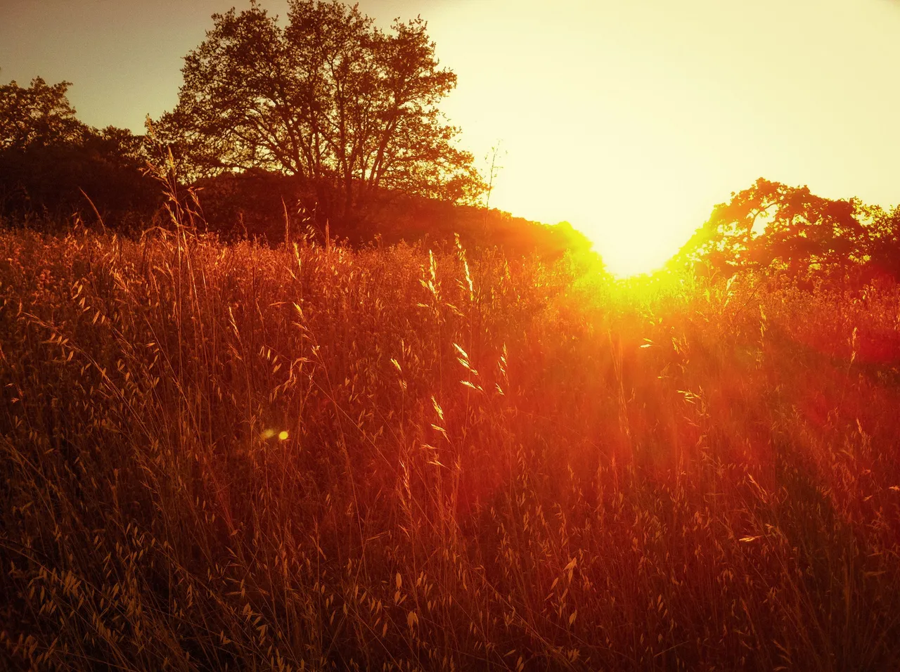 Beautiful Warm Sunsets Sun Star California Nature Landscape Photography 2012 010.jpg