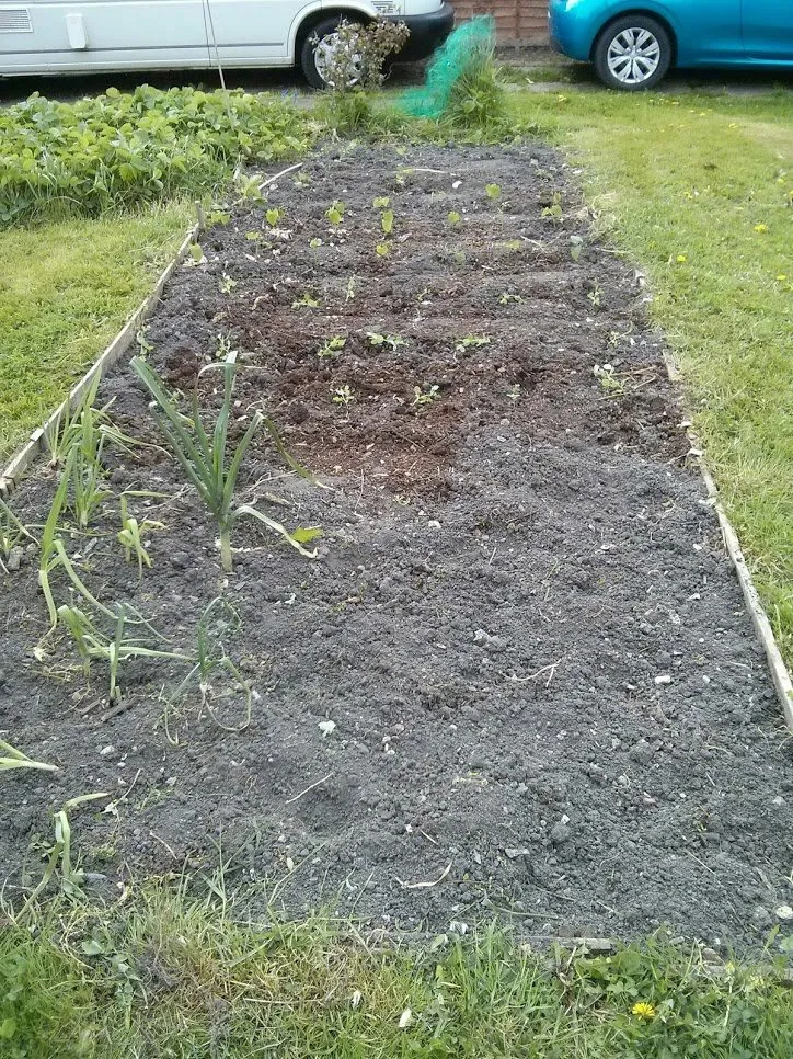 Bed 1