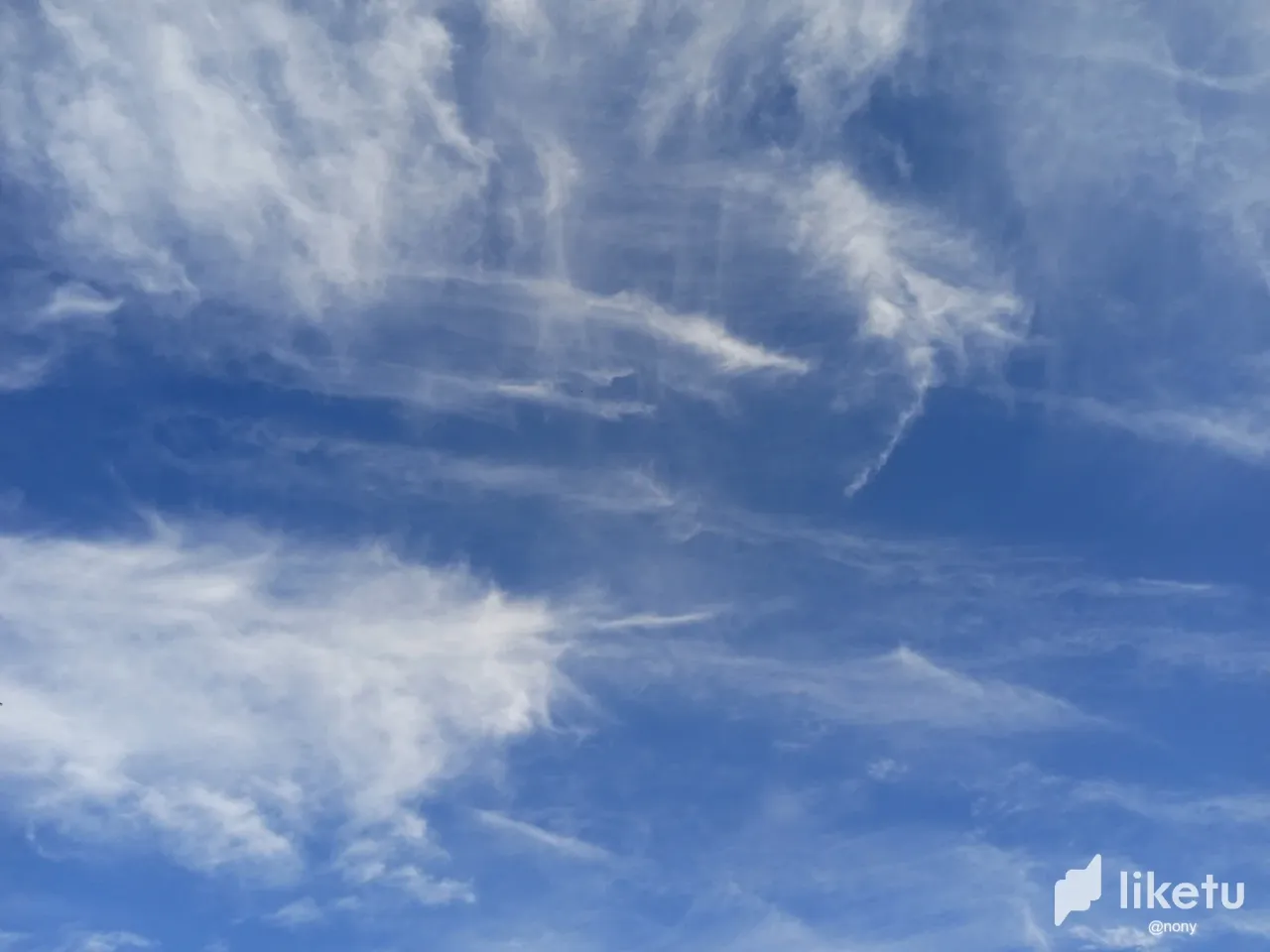 clvguwhd00067vqszhddhdrxe_IMG_20240103_154652.webp