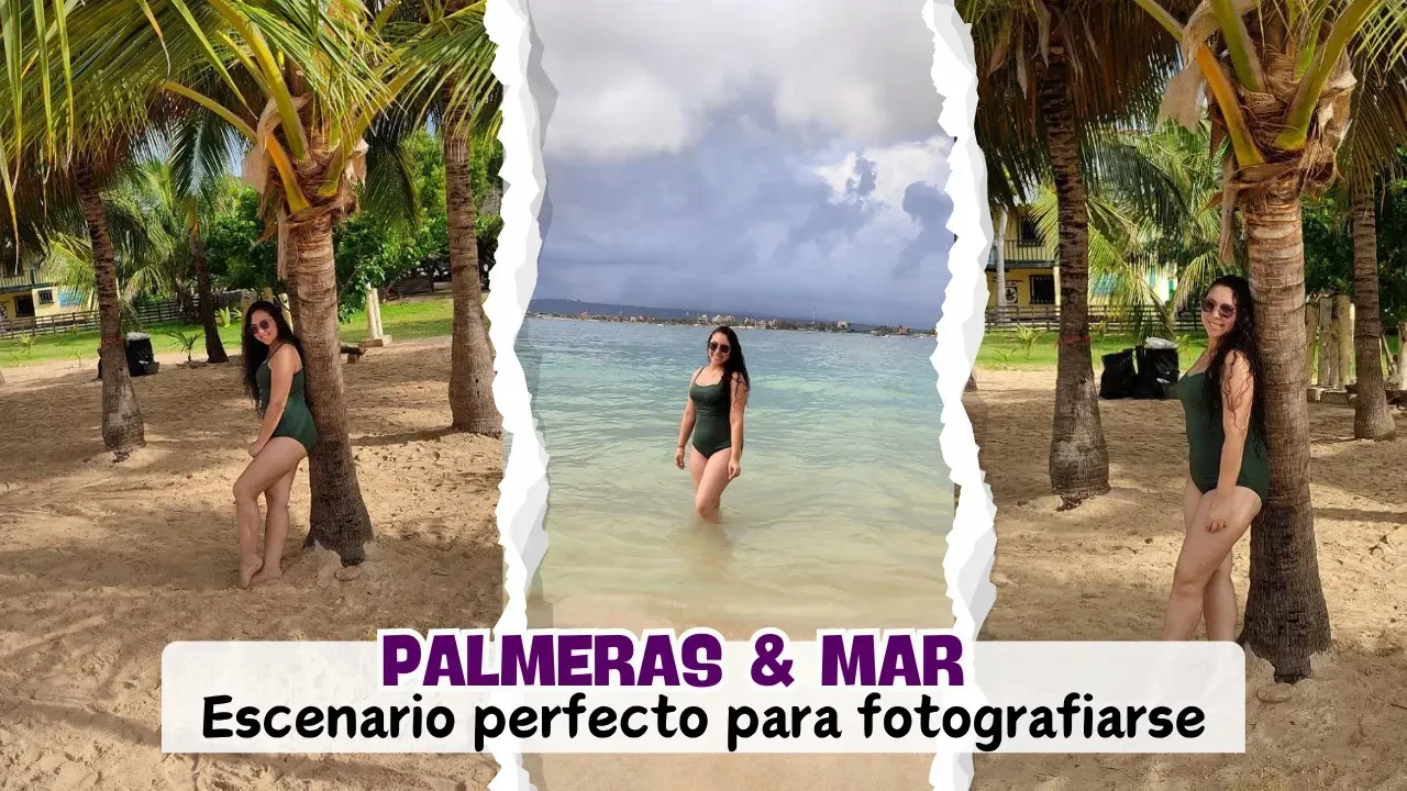 VfWNAczje2rdfr4y_Armando_mi_pesebre_navideo.webp
