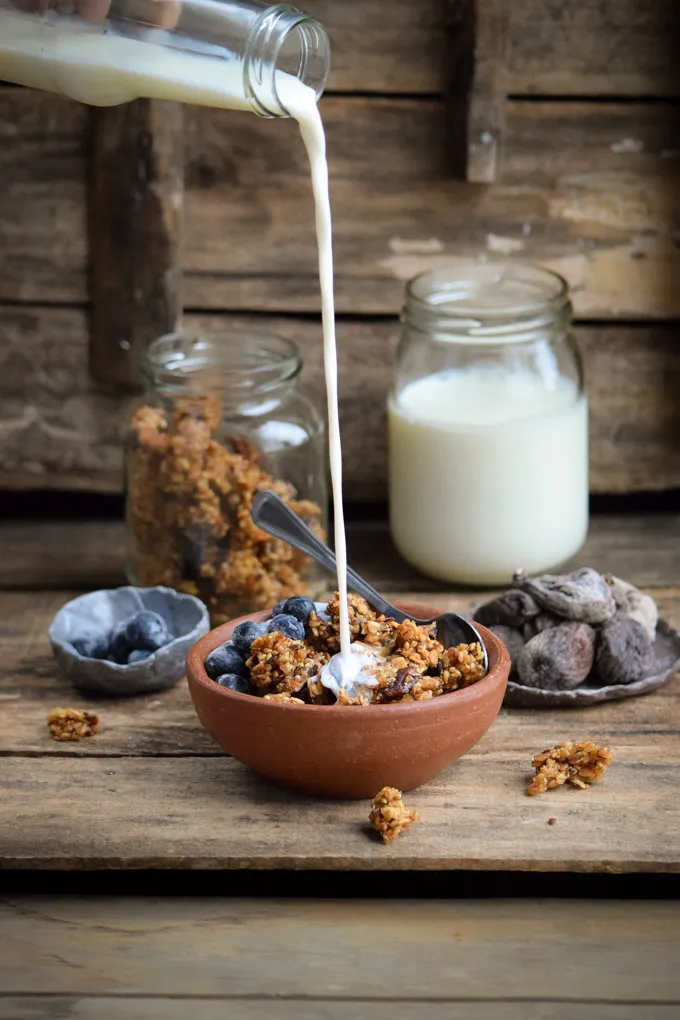 Dried Fig, Millet, and Flaxseed Granola (3).jpg