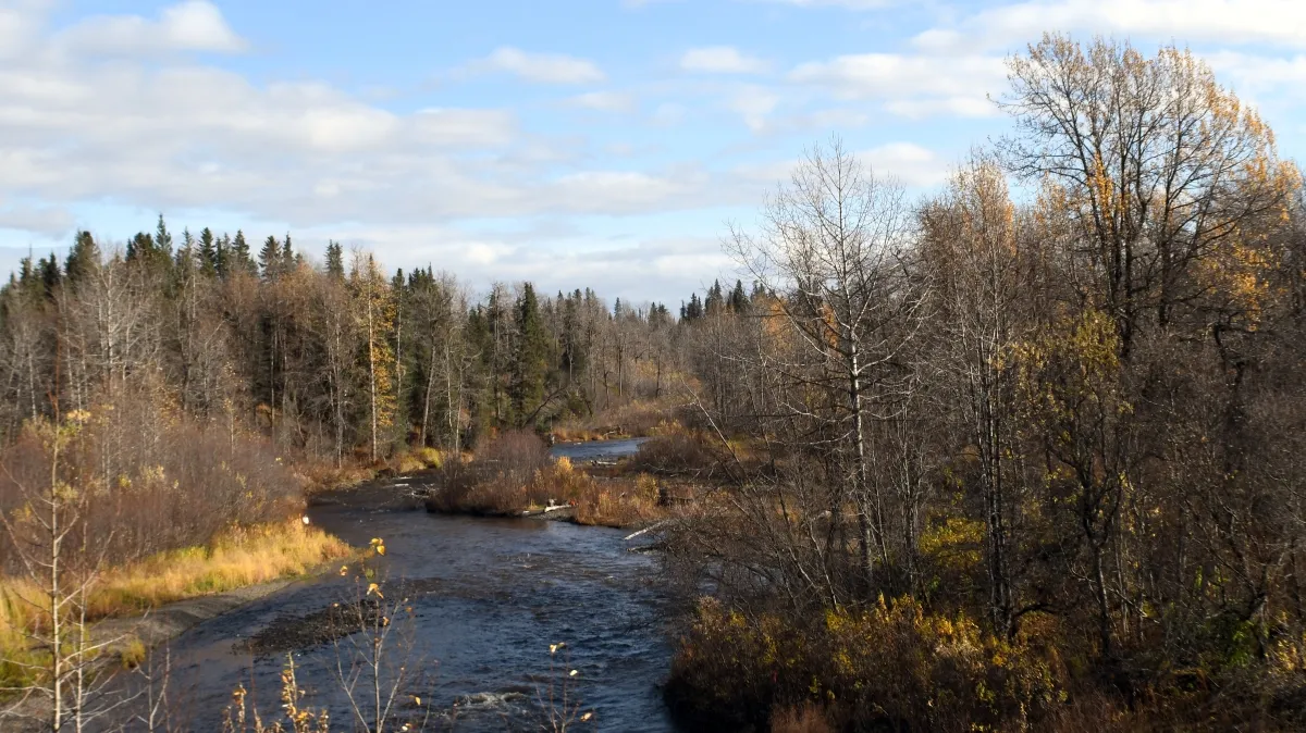 703 anchor river view from the bridge oct.jpg