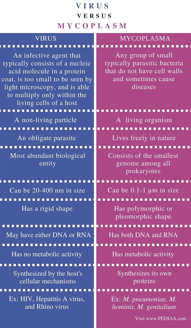 Difference-Between-Virus-and-Mycoplasma-Comparison-Summary-1.jpg