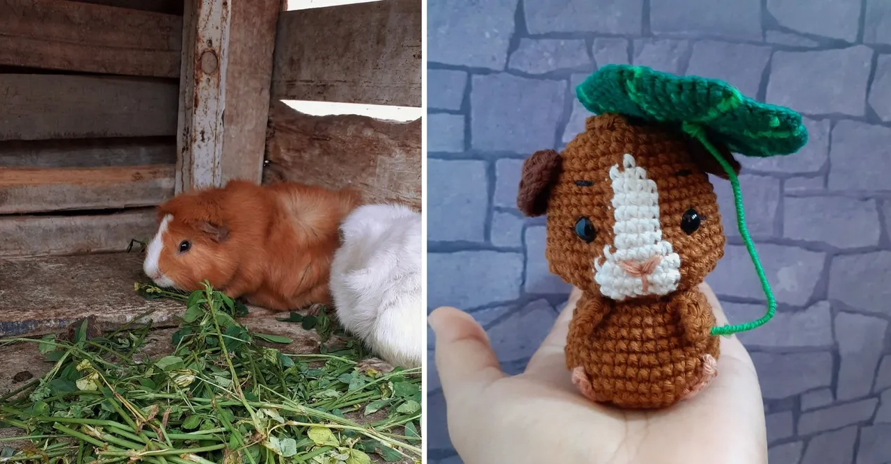 1.diseño de cuy amigurumi a crochet_Khawamaru.jpg