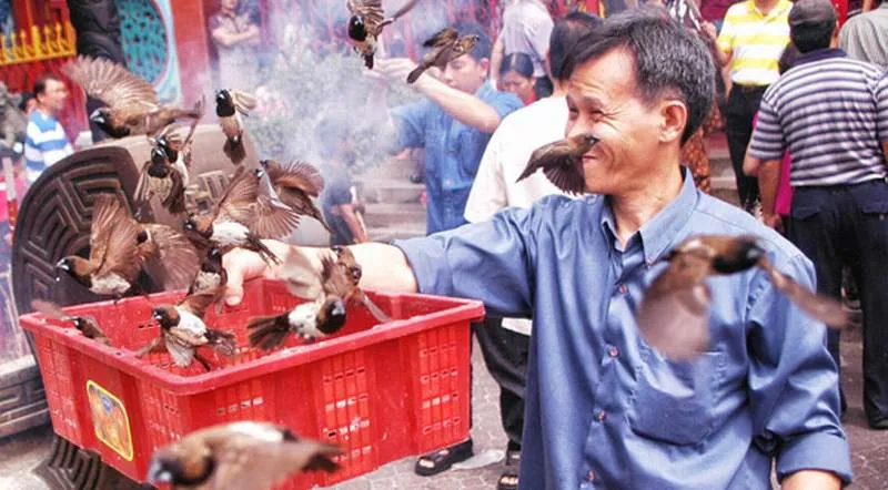 tradisi-melepas-burung-pipit-saat-perayaan-imlek-S0USkJlLTz.jpg