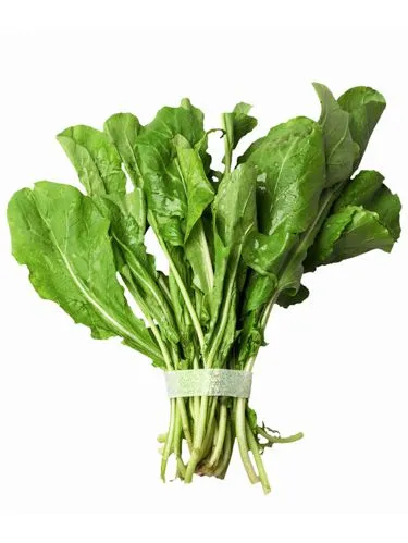 549b51d644adf_-_rby-101-skin-tips-arugula-bunch-lgn-8684797.jpg