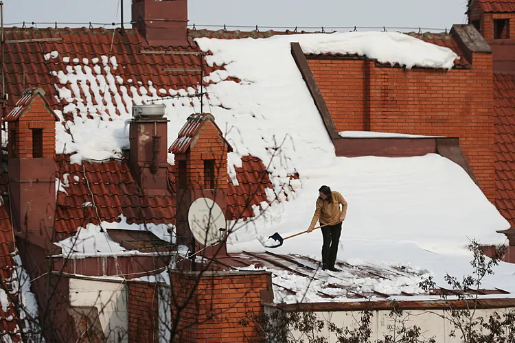 Lady on a cold tin roof - IMG_6982_cr-steemit.jpg