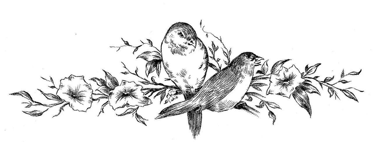 vintage-sketches-birds-on-floral-branch-the-graphics-fairy.jpeg