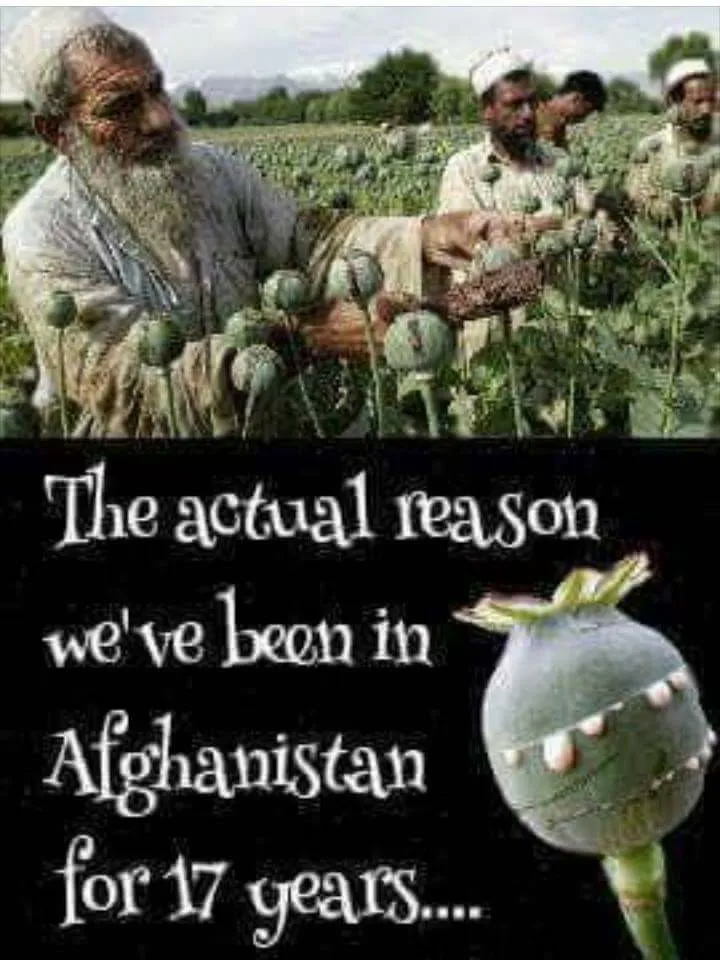 The actual reason for 17 years in afghanistan.jpg