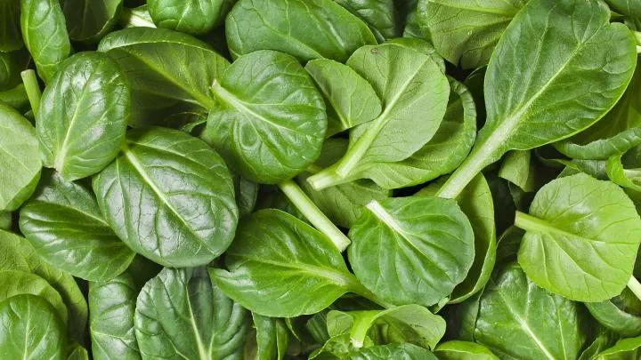 spinach-leaves.jpg