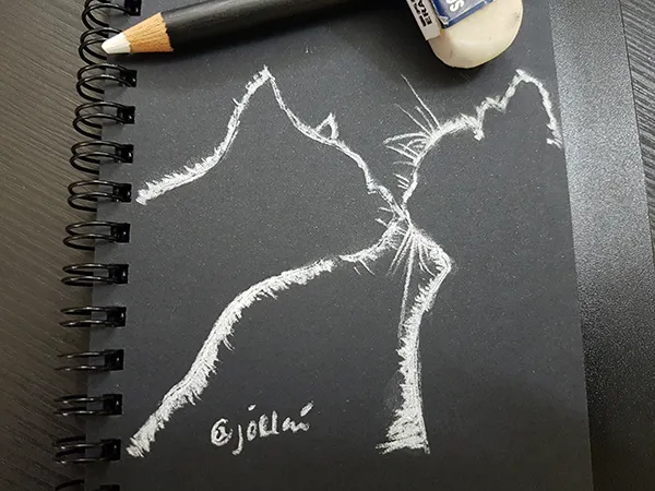 Lover Cats04.jpg