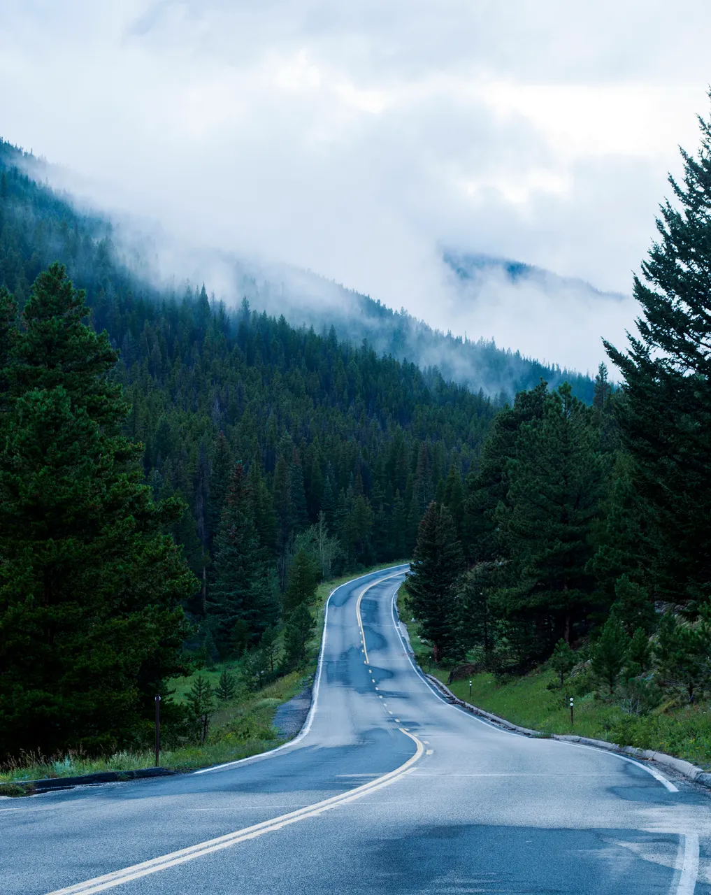 trailridgeroad.jpg
