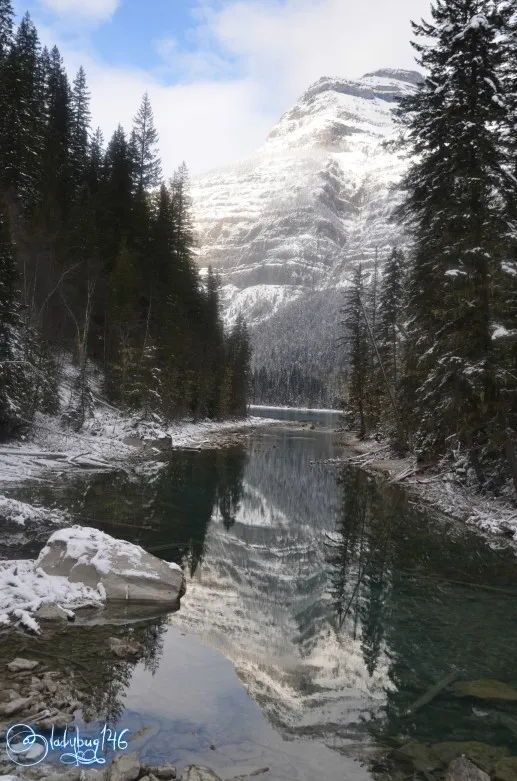 mount_robson10.jpg
