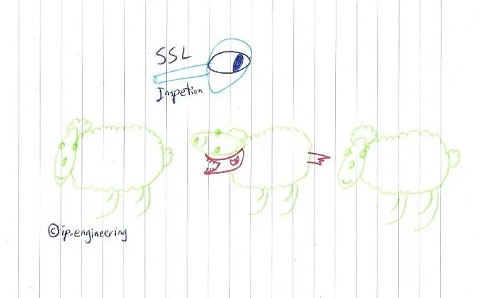 SSL-Inspection.jpg