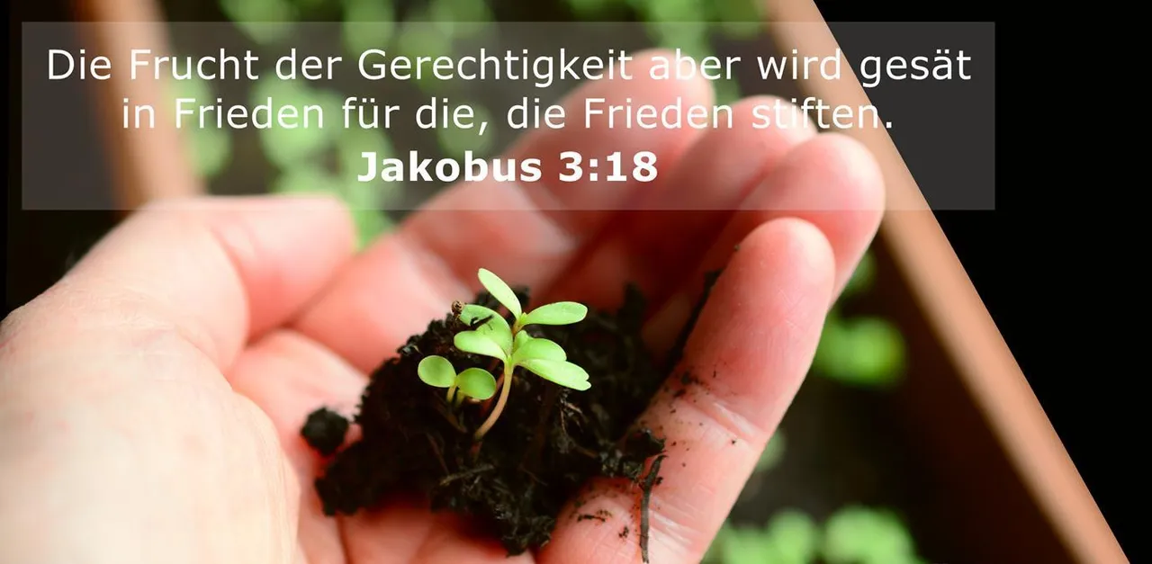 jakobus-3-18-2.jpg