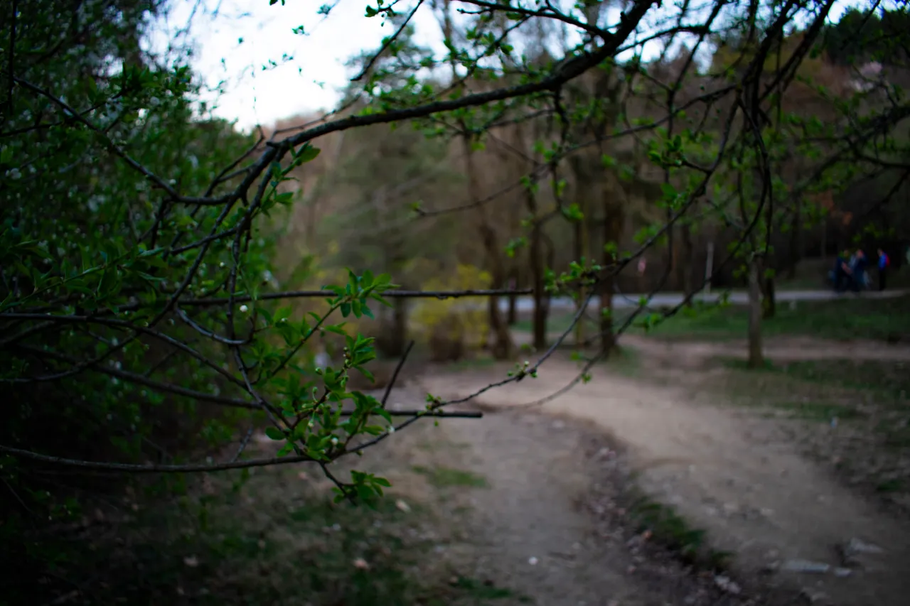 DSC_0032 (2).jpg