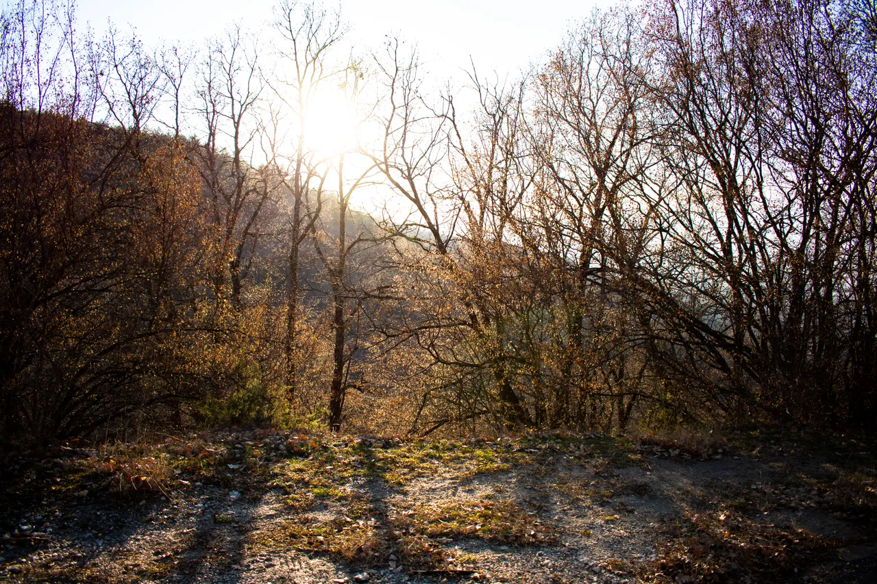DSC_0009 (2).jpg