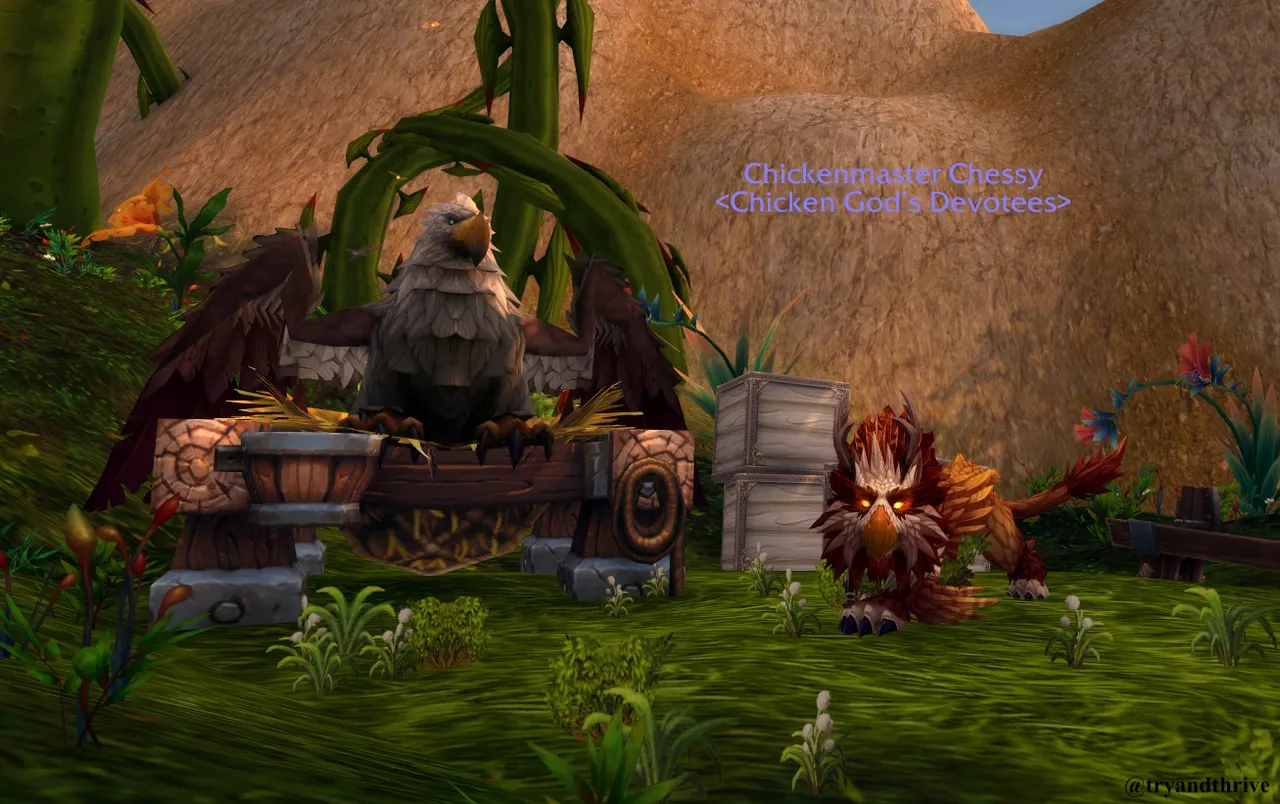 chickenMaster6.jpg