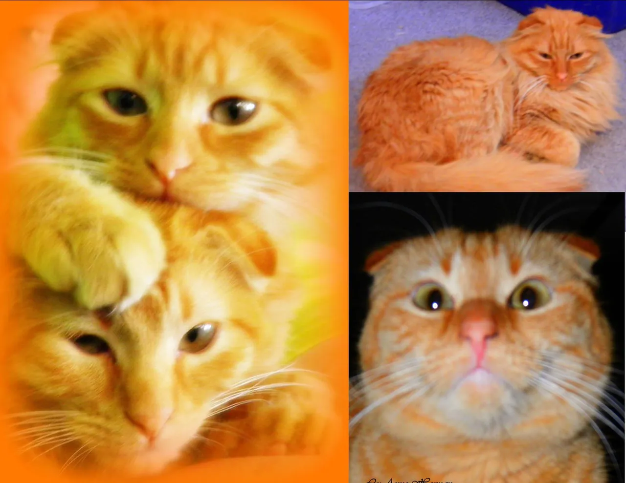 emilycharpaper.jpg
