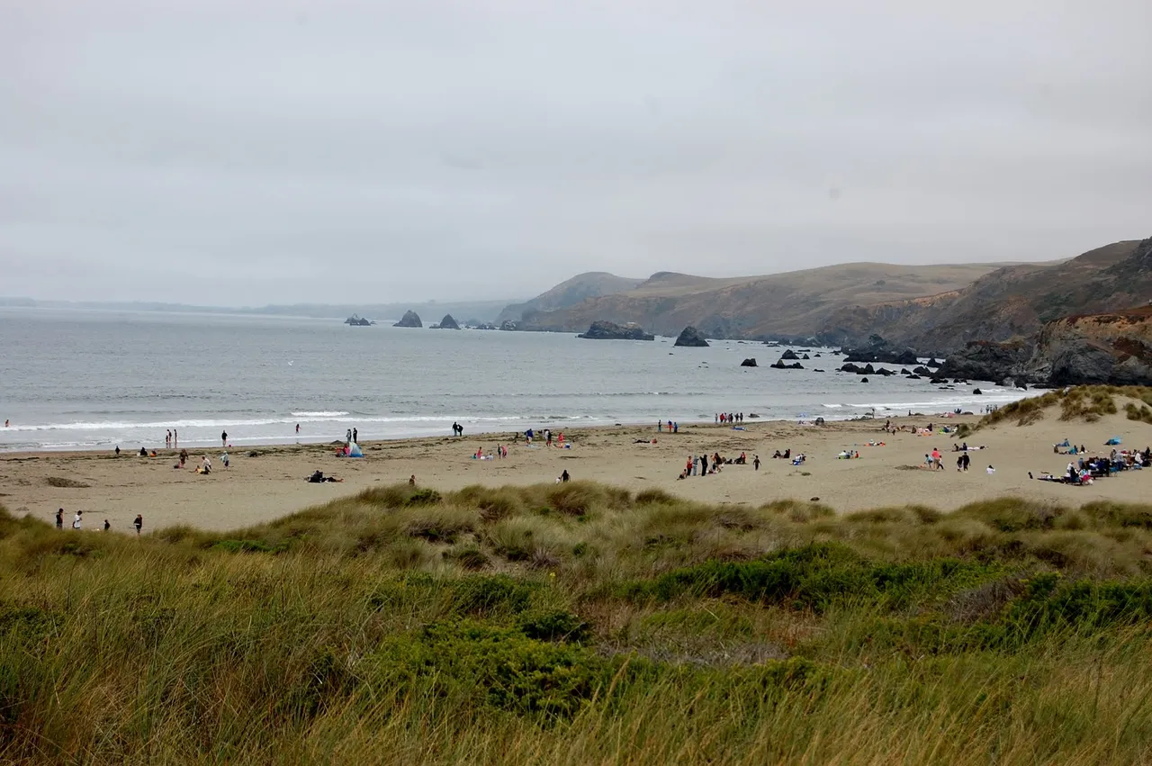 Dillon Beach.jpg