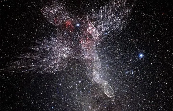 cygnus_kepler.jpeg