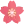 flor-de-cerezo.png