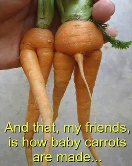 baby carrots.jpg